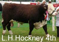 hockney 4th