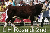 rosaldi 2nd