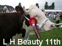 beauty 11th