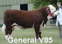 general